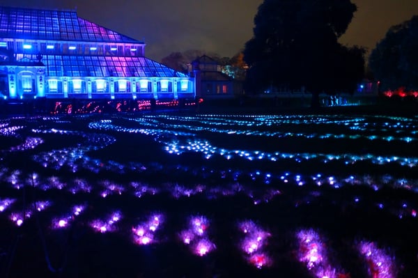 Christmas at Kew Gardens_London