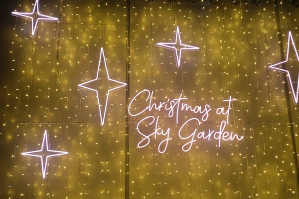 Christmas at Sky Garden_London