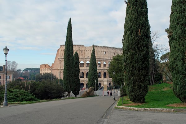 Colosseum from Parco del Colle Oppio_Rome