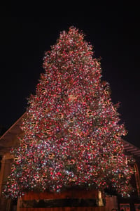 Covent Garden_London_Christmas Tree