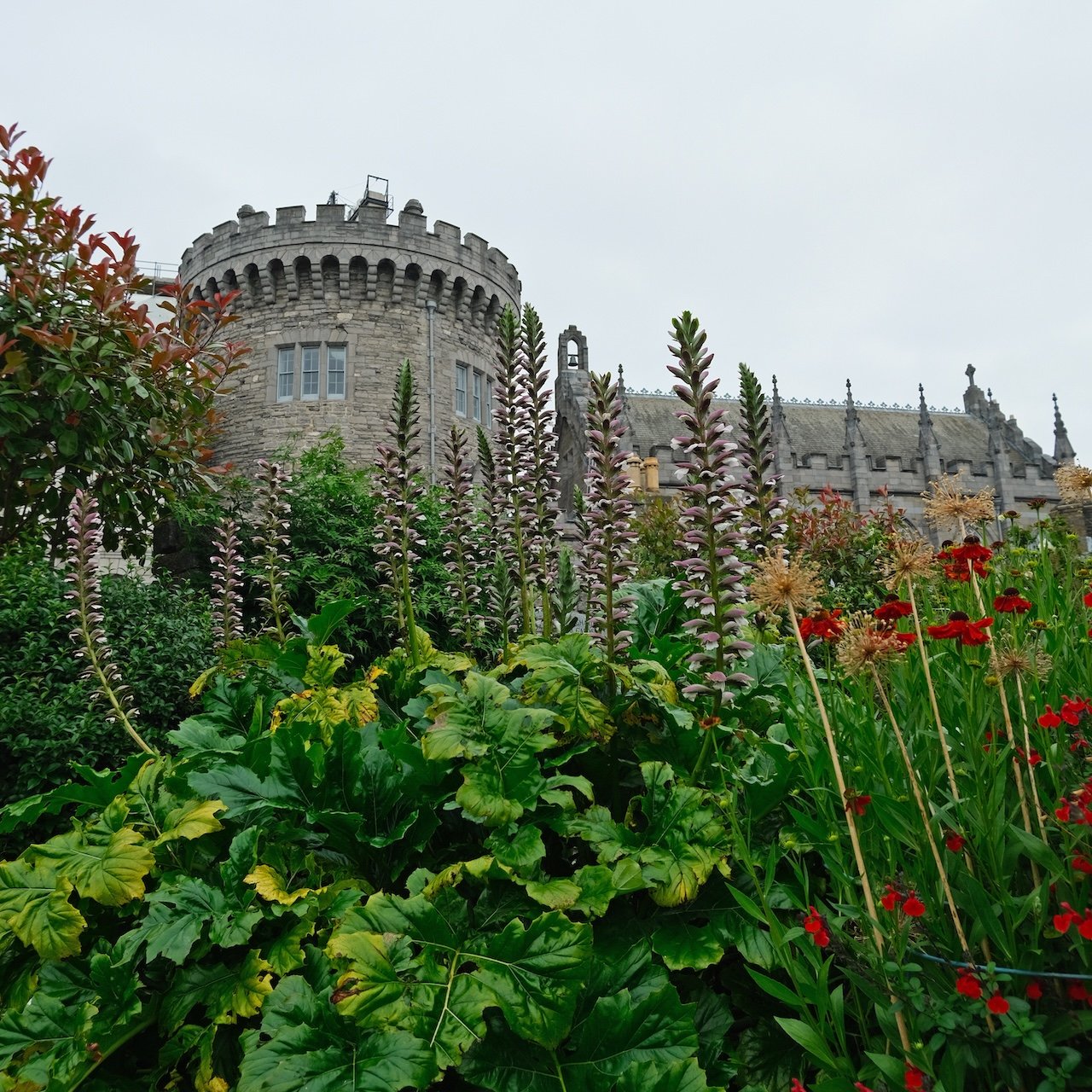 Dublin Castle and Royal Chapel_Distance_5x5