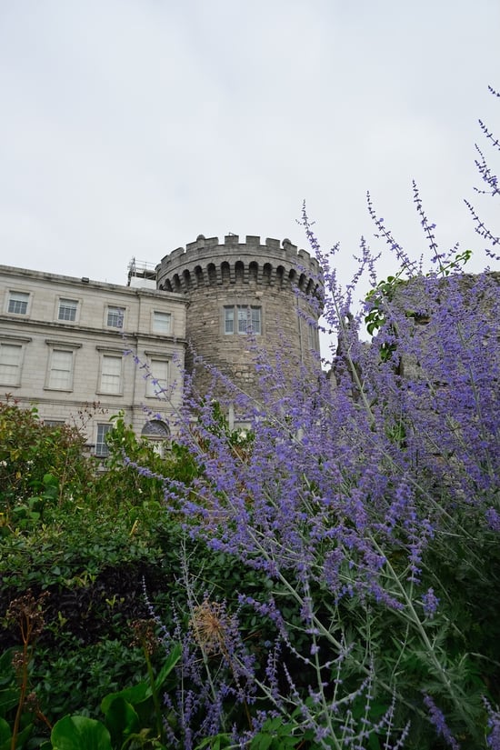 Dublin Castle_Lavender