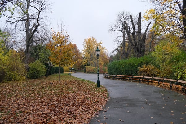 Fall Foliage_Stadtpark_Vienna