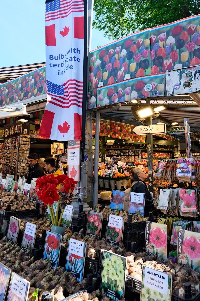Flower Market Amsterdam_Bulbs with Certificate Inside Flower Market Amsterdam_Bulbs with Certificate Inside