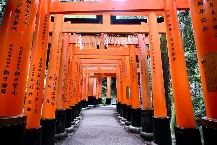 Torii Gates at Fushimi Inari Taisha Shrine in Kyoto, Japan