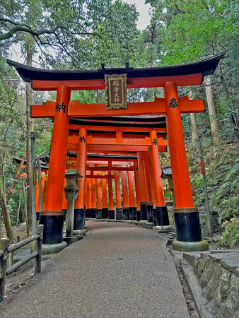 Fushimi Inari_Torii Gates_Kyoto