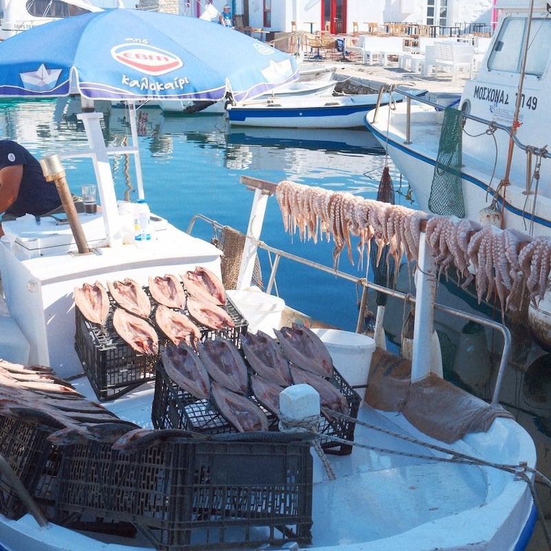 Gouna Fish_Naoussa Harbor_Paros_5x5