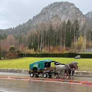Horse-Drawn Carriage_Neuschwanstein Castle_5x5
