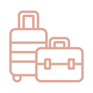 Jetset Seeker Luggage Icon - Hero Pink
