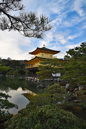 Kinkakuji Temple_Golden Pavilion_Kyoto_Portrait