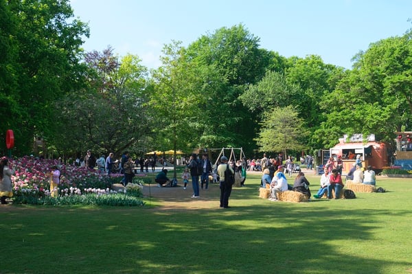 Large Field Area_Keukenhof