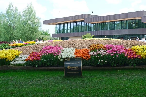 Large Floral Display_Keukenhof_Netherlands