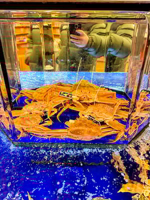 Live Crabs at Kani Doraku_Osaka