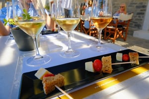 Moraitis Winery_Naoussa_Wine Tasting_Paros