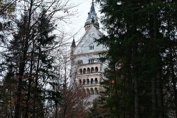 Neuschwanstein Castle_Through Trees