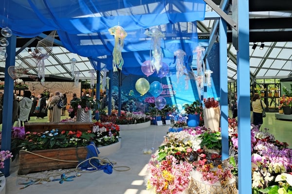 Orchid Display_Indoor Pavilion_Keukenhof_Netherlands