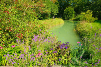 Petit Trianon_Versailles_Gardens_Wildflowers