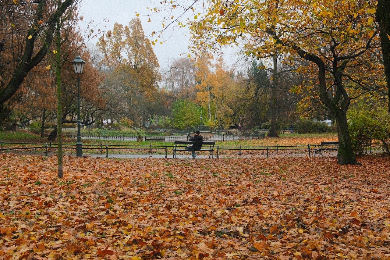 Planty Park_Krakow_Autumn Leaves