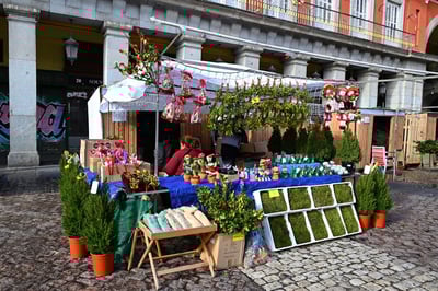 Plaza Mayor_Christmas Tree_Vendor