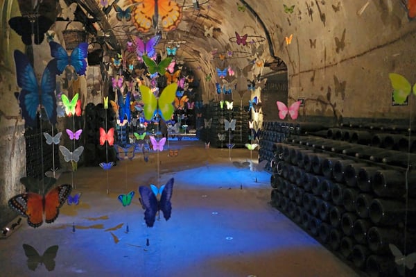 Pommery Butterflies_Reims