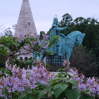 Purple Flowers_St Stephen_Budapest_Fishermans Bastion_5x5_Spring
