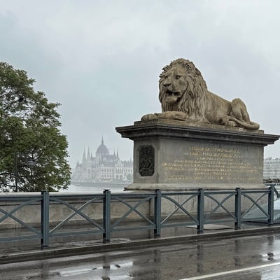Rainy Day_Budapest_Chain Bridge Lion_5x5