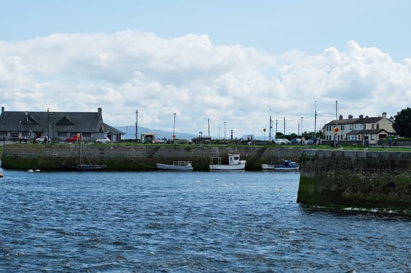 River Corrib_Shoreline_Galway