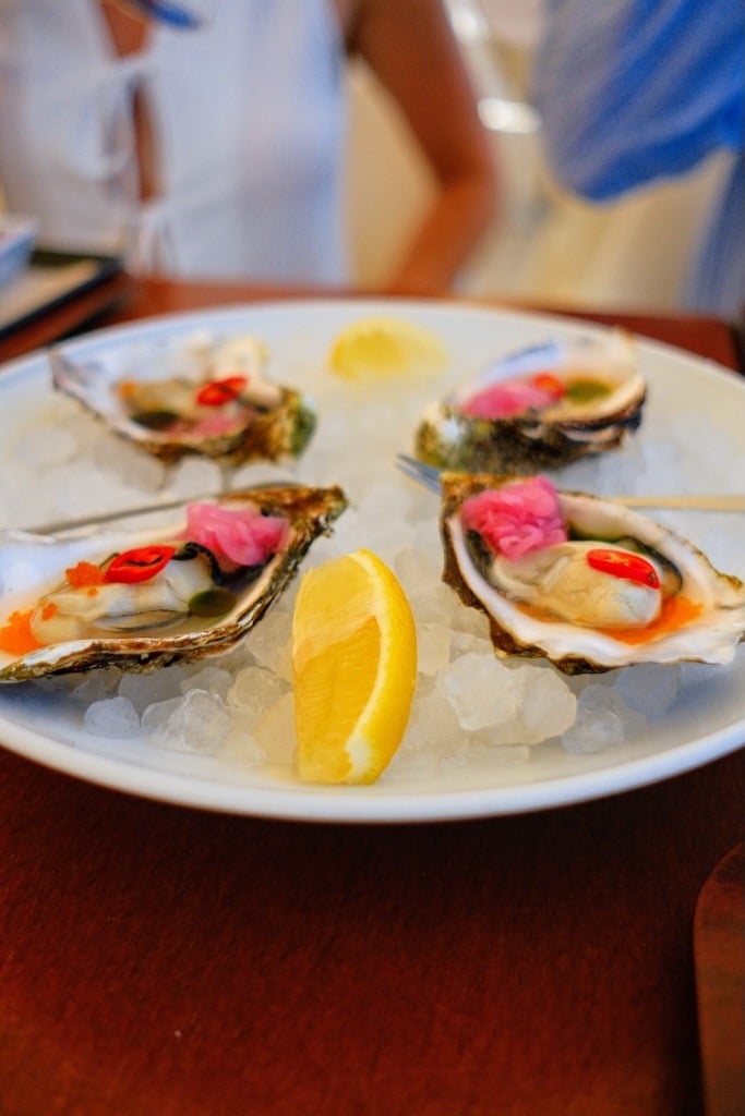 Santo Wines_Oysters_Santorini Santo Wines_Oysters_Santorini