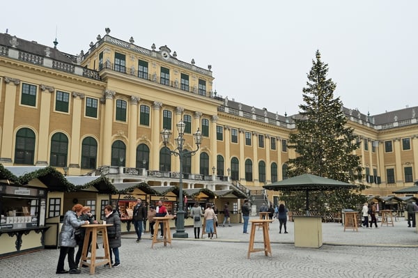 Schonbrunn Palace Christmas Market_Day_Large Tree_Vienna
