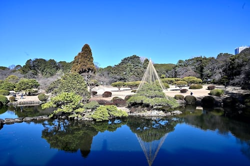 Shinjuku Gyoen National Garden-2_Tokyo