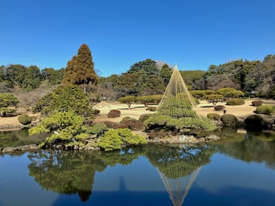 Shinjuku Gyoen National Garden_Tokyo