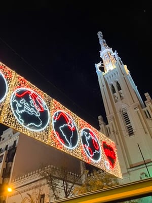 Sightseeing NaviBus Lights