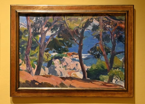 Sorolla Museum_Mediterranean Landscape_Madrid