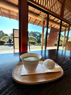 Tea at Shinjuku Gyoen National Garden_Tokyo