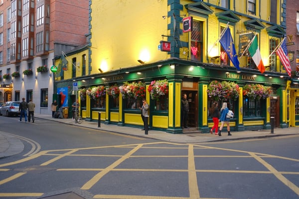 The Hairy Lemon Pub_Dublin