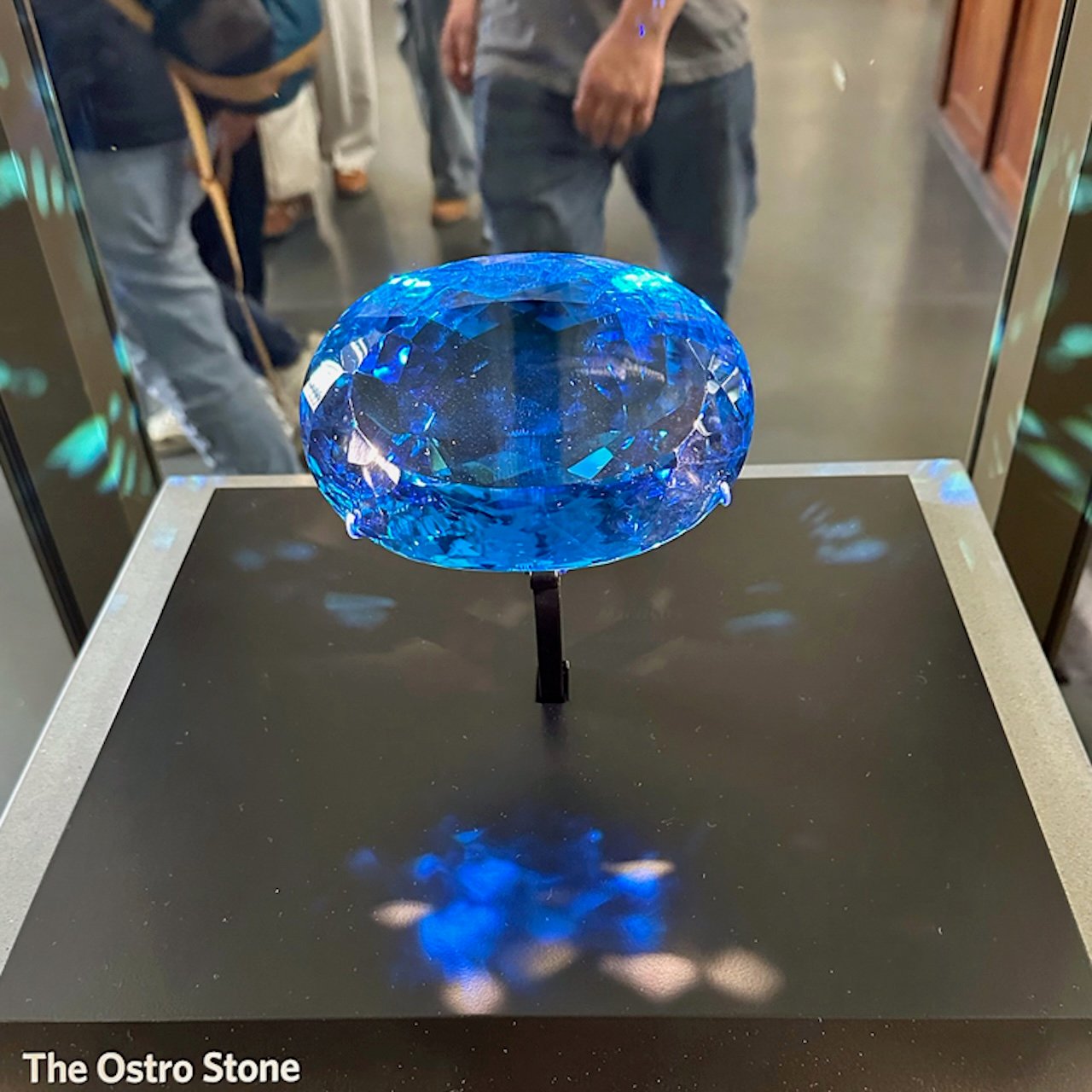 The Ostro Stone_Natural History Museum_London The Ostro Stone_Natural History Museum_London