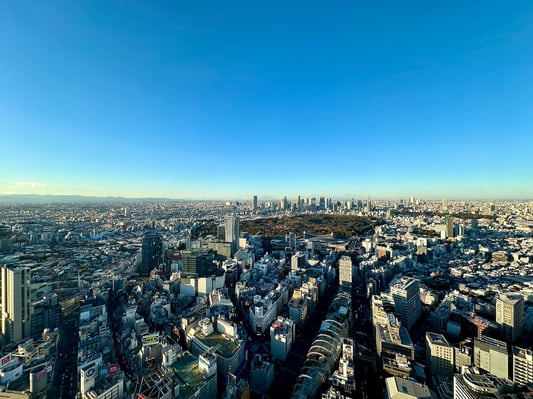 Tokyo Skyline