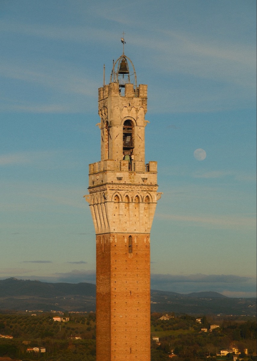 Rooftop of Siena Cathedral 34