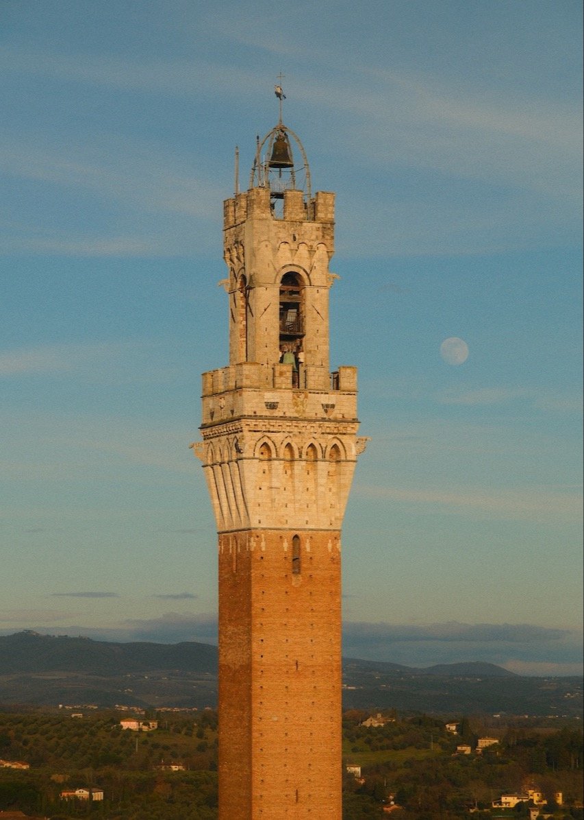 Rooftop of Siena Cathedral 34