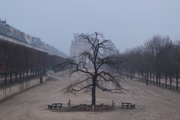 Tuileries Garden_Louvre_Fog_Paris