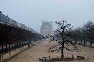 Tuileries Garden_Paris_Winter