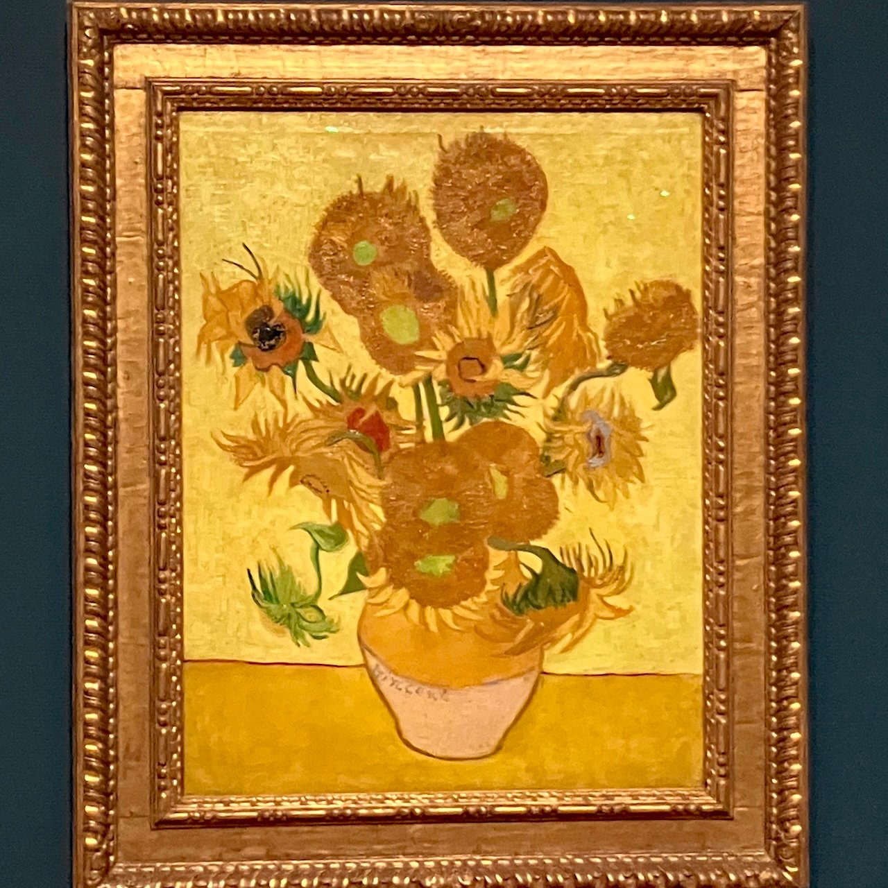 Van Gogh Sunflowers_Amsterdam Van Gogh Sunflowers_Amsterdam