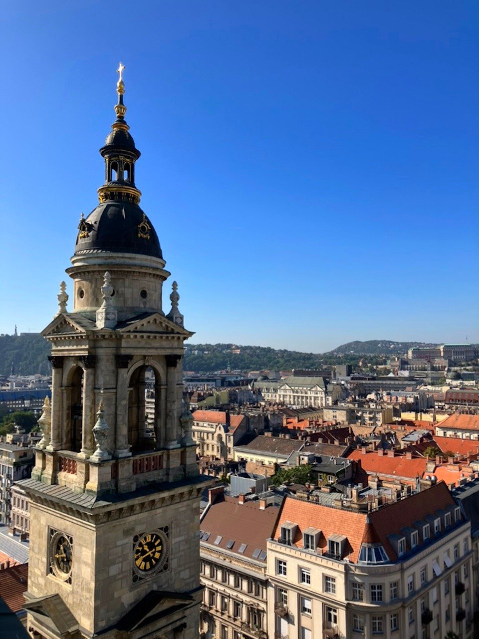 View from St. Stephen Basilica Dome_Budapest