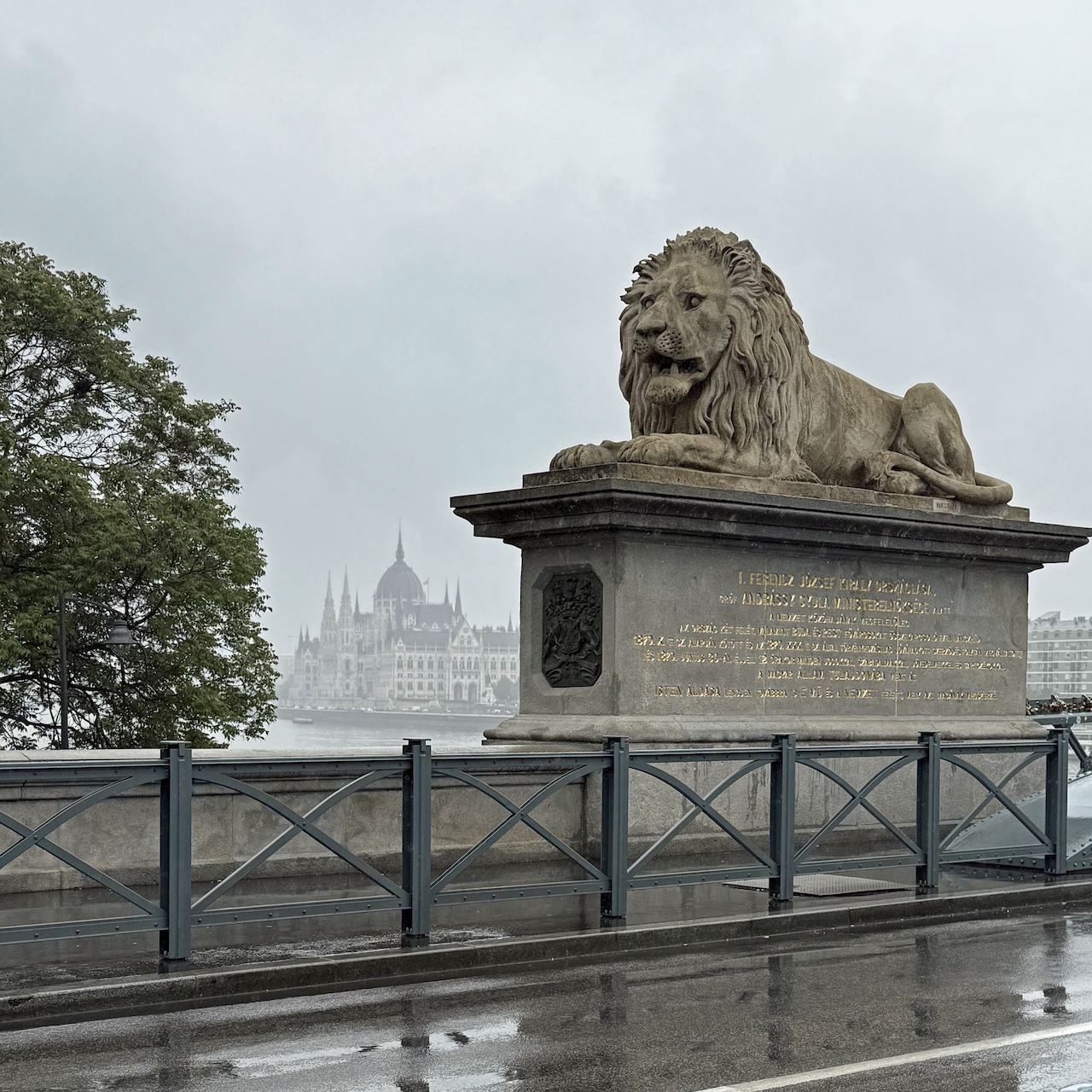 Rainy Day_Budapest_Chain Bridge Lion_5x5